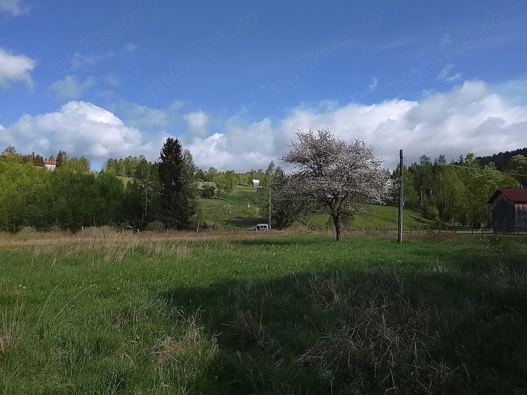 Teren de 5000 mp, în Dorna-Arini
