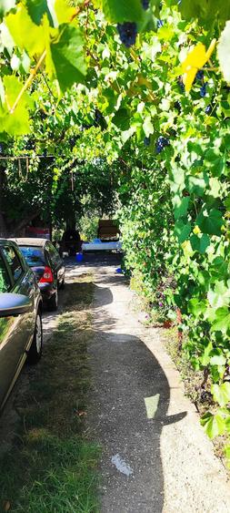 Casă cu 2 camere cu Teren 859 Mp în Bulbucata