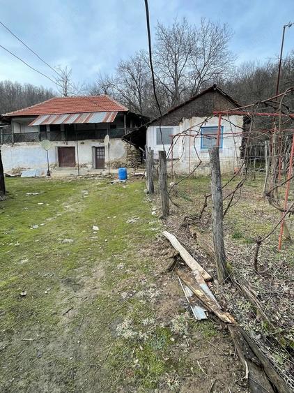 Casă cu Teren 15000 Mp în Central