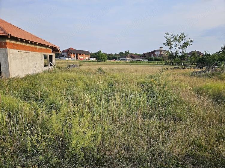 Teren de 600 mp, în Tileagd