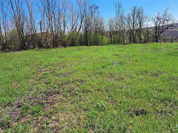Teren Construcții intravilan de 2000 mp, în Rediu
