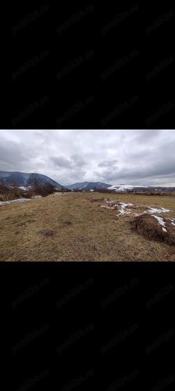 Teren de 1830 mp, în Nucșoara