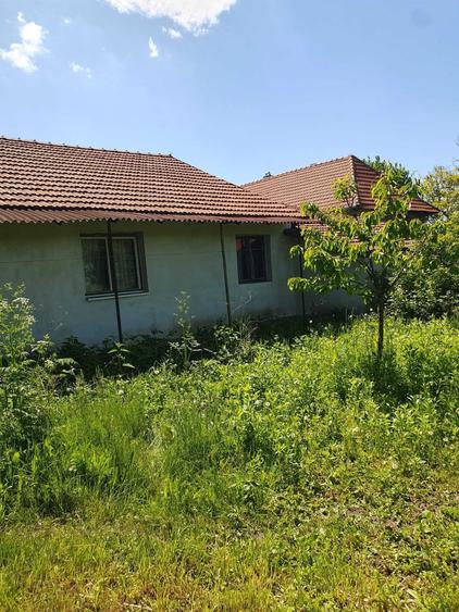 Casă cu 3 camere în Agrij