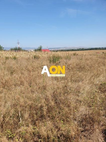 Teren agricol extravilan de 7737 mp, în Sud