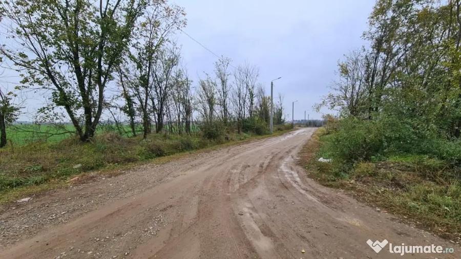 Teren de 3000 mp, în Brănești
