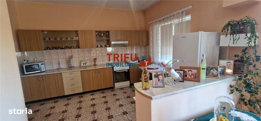 Casa individuala de vanzare Alba Iulia, zona Schit (Cetate) - 11