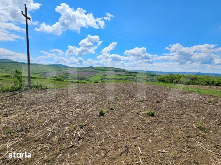 Teren de 5800 mp, în Șintereag