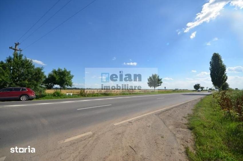 Teren de 28500 mp, în Movilița