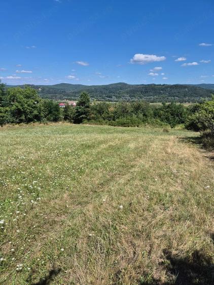 Teren panoramic 5.805 mp in Ciofrangeni, Arge? Natura, lini?te ?i acces facil - 4