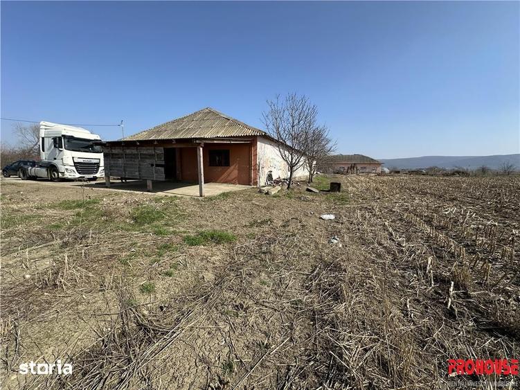 Spațiu comercial, de 400 mp, în Letea Veche