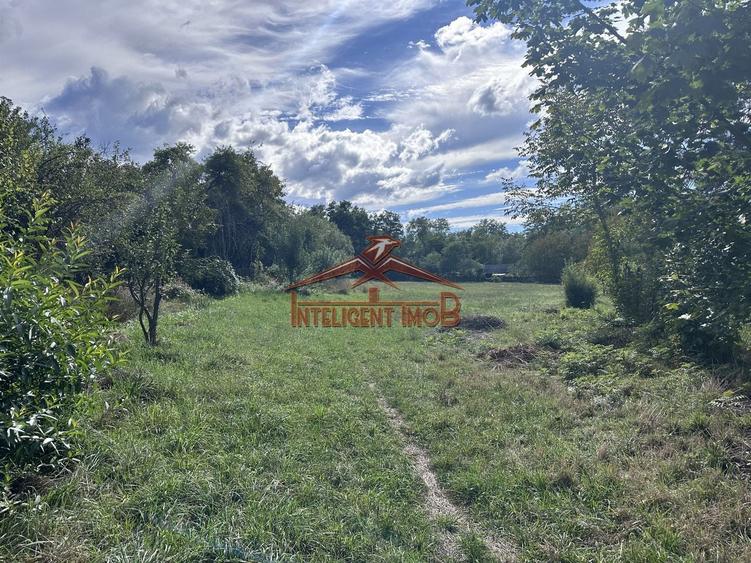 Teren Construcții intravilan de 4600 mp, în Porumbacu de Sus