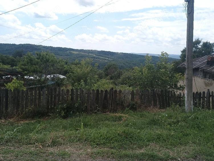 Teren de 1600 mp, în Siliștea