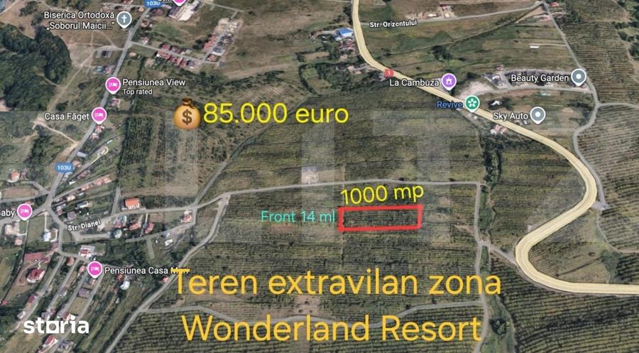 Teren de 1000 mp, în Feleacu
