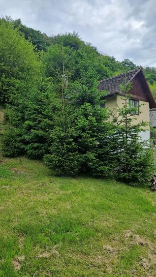 Teren de 4800 mp, în Căpâlna