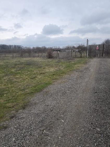 Teren Construcții intravilan de 746 mp, în Băneasa