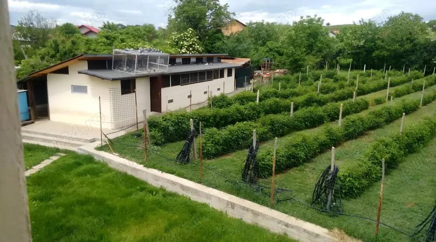 Casă cu 3 camere cu Teren 2600 Mp în Urlați