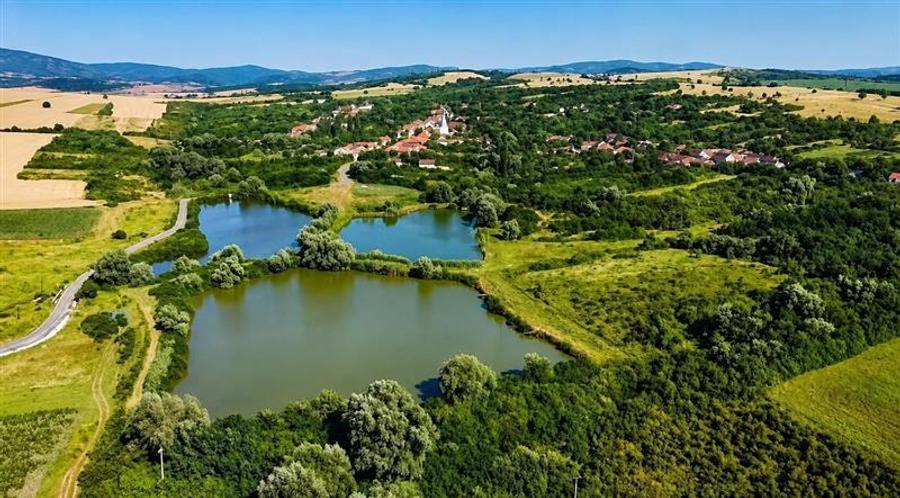 Casă individuală cu 9 camere cu Teren 4400 Mp în Petrilova
