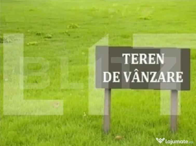 Teren intravilan, 20 000 mp, Torontalului - 1