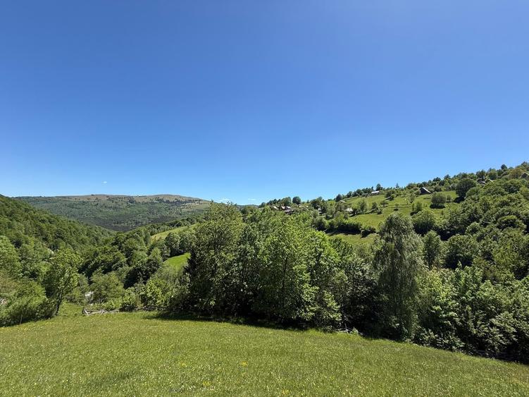 Teren Construcții intravilan de 10479 mp, în Răchițele