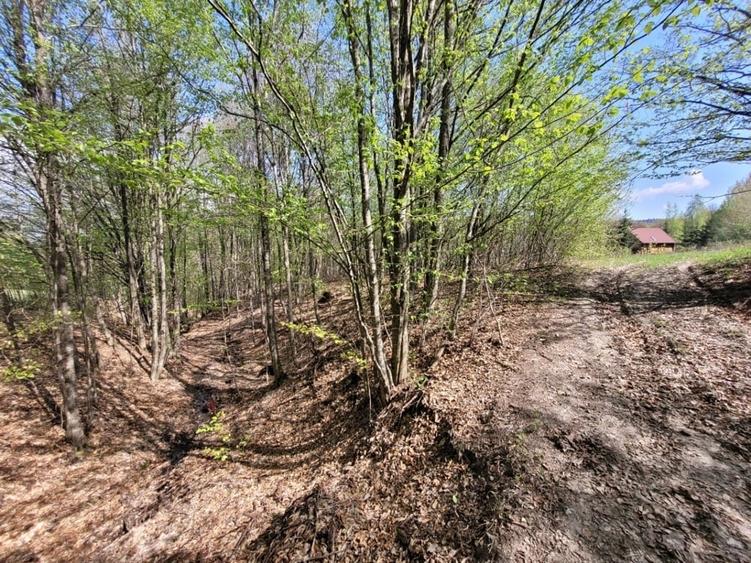 Teren de 4000 mp, în Satu Mare