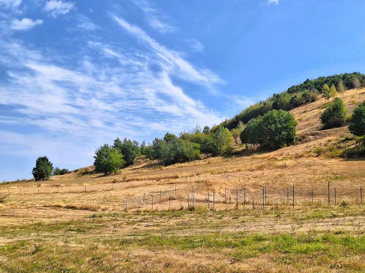 Teren extravilan de 1257 mp, în Gura Râului