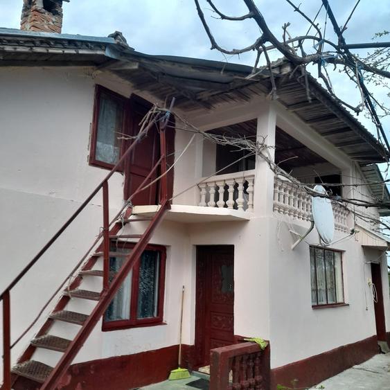 Teren agricol intravilan de 5 mp, în Ciuperceni (Cosmești)