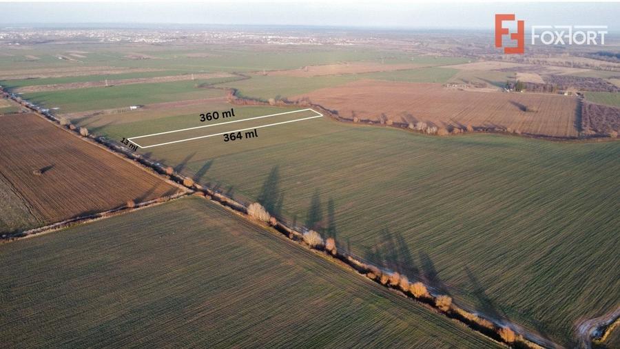 Teren agricol extravilan de 4803 mp, în Giroc