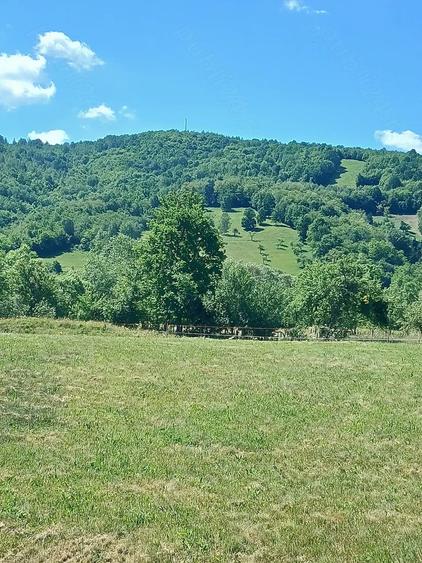 Teren de 500 mp, în Sălciua