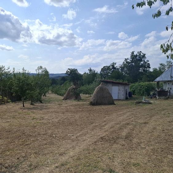 Teren de 7500 mp, în Cărpeniș