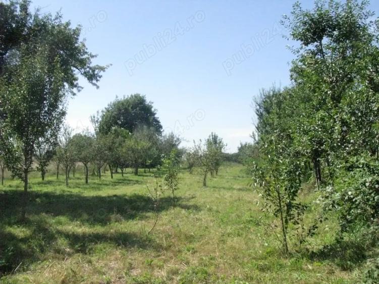 Teren de 4400 mp, în Prejmer