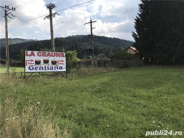 Teren de 4600 mp, în Brădet