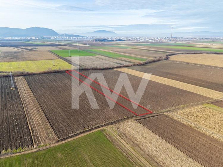 Teren agricol extravilan de 3500 mp, în Cernatu