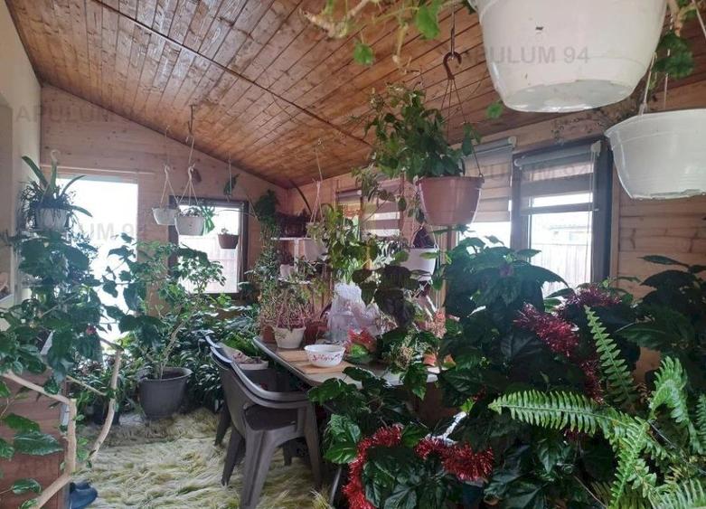 Casă cu 2 camere cu Teren 420 Mp în Săbăreni
