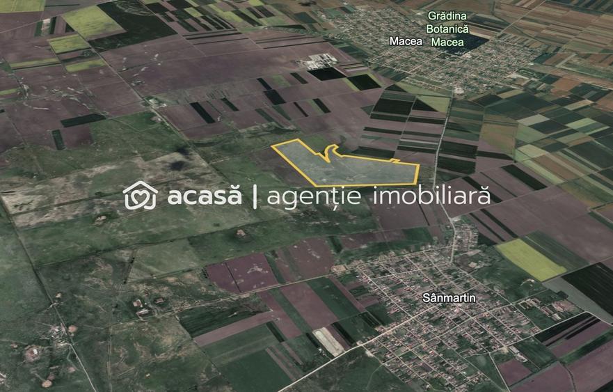 Teren agricol extravilan de 424700 mp, în Macea