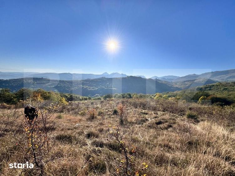 Teren de 4000 mp, în Râmeț