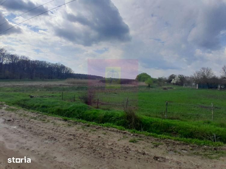 Teren de 3400 mp, în Buturugeni