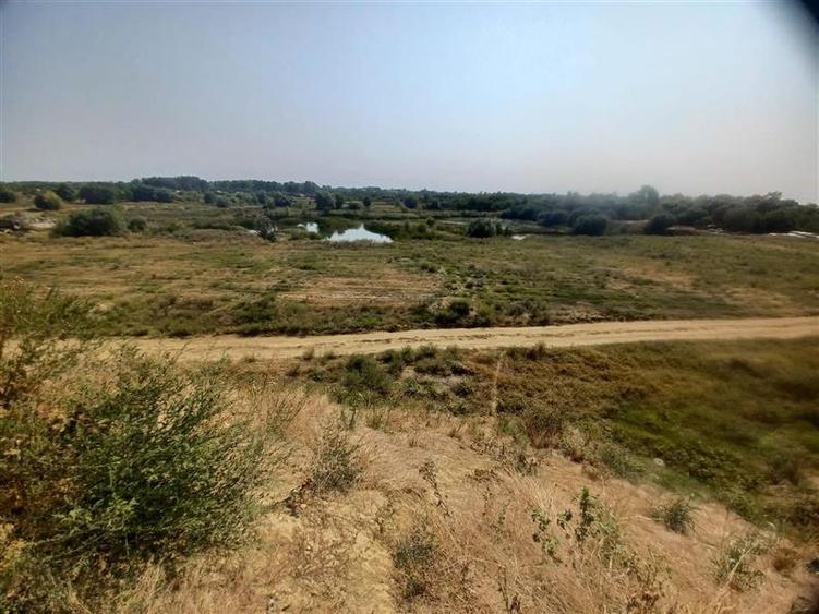 Teren extravilan de 38000 mp, în Adunații-Copăceni