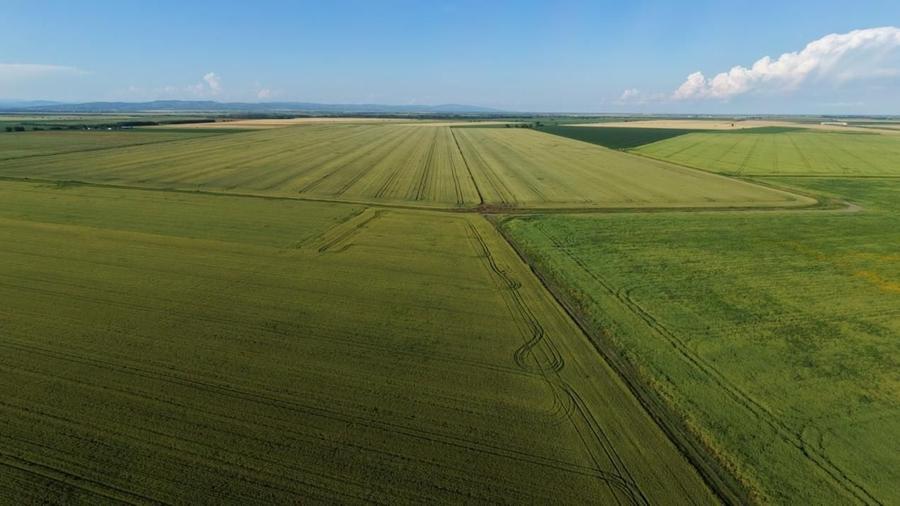 Teren agricol extravilan de 41225 mp, în Dumbrava