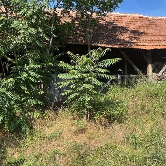 Casă individuală cu 3 camere cu Teren 3300 Mp în Central