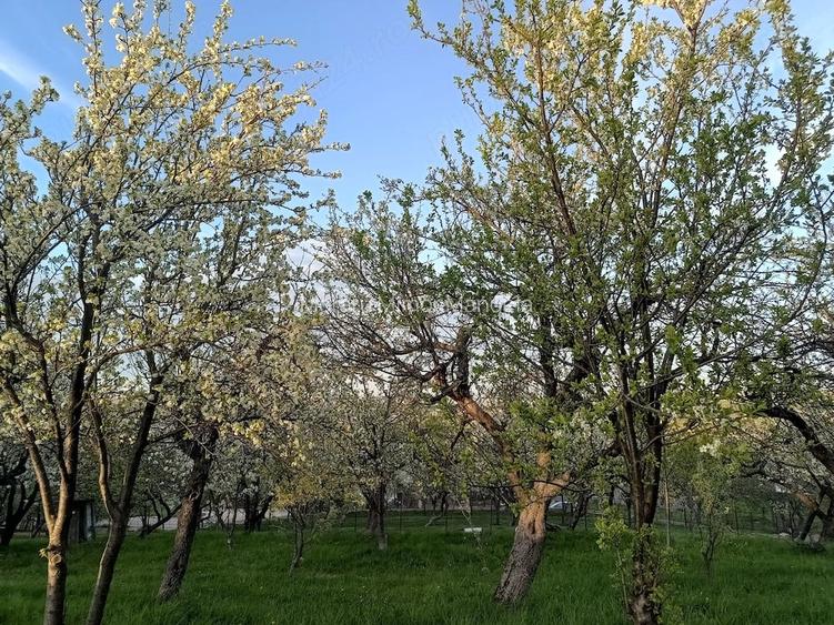 Vand teren in Adancata, jud. Suceava