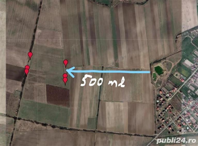 Teren de 32000 mp, în Moșnița Veche