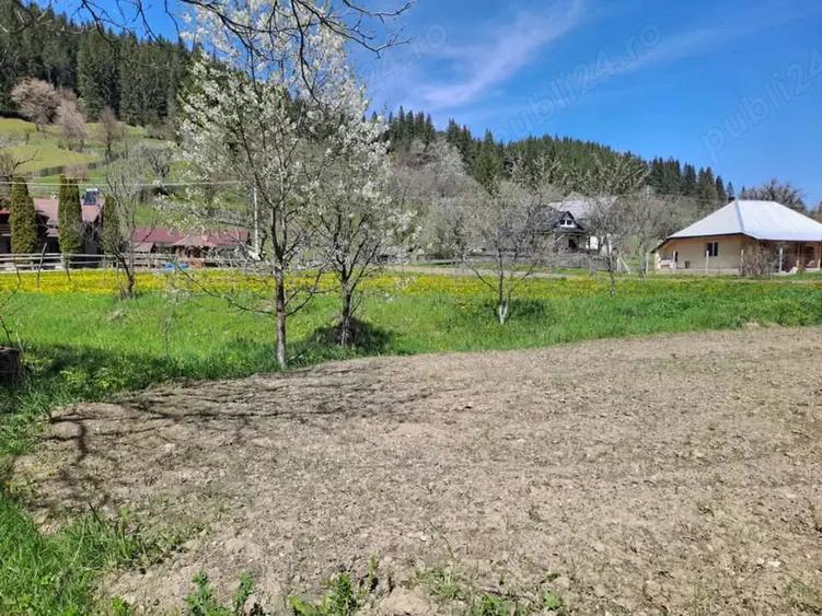 Teren de 3300 mp, în Poiana Largului