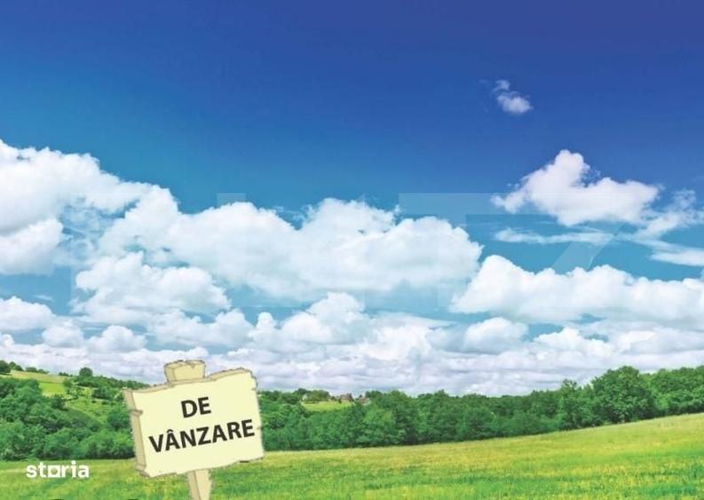 Teren intravilan, 4.600 mp, front 23 ml, deschidere la E 58, zona Plop - 1