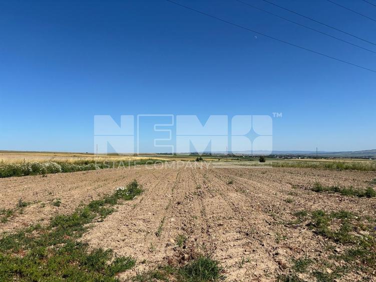 Teren agricol intravilan de 1300 mp, în Burdujeni