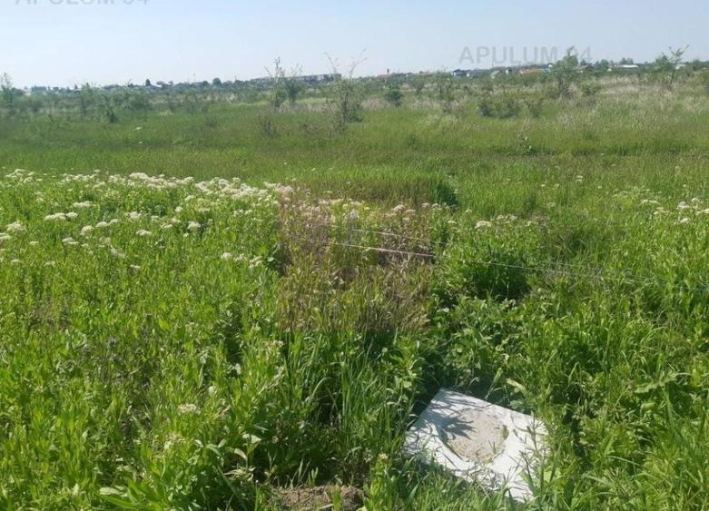 Teren Construcții intravilan de 29000 mp, în Est