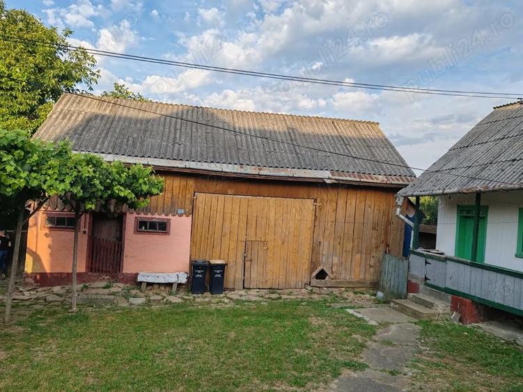 Teren de 7800 mp, în Pătrăuți