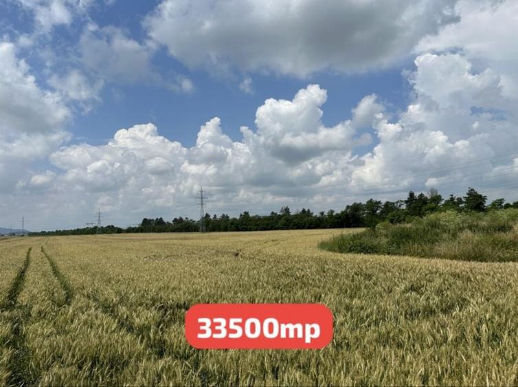 Teren de 33500 mp, în Hărman