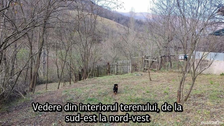 Teren în Pecinișca