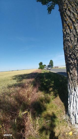 Teren de 3700 mp, în Central