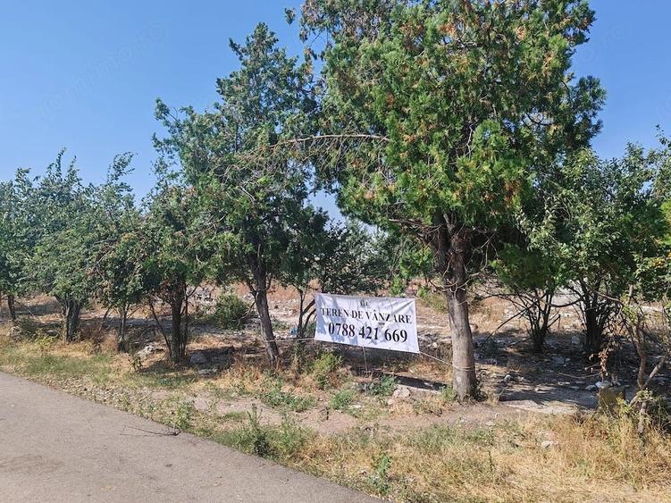 Teren de 9795 mp, în Rădoiești